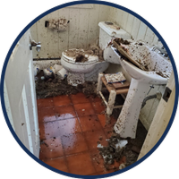 Flood Restoration Icon